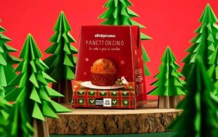 IL NATALE SI AVVICINA